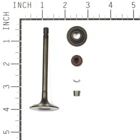 844787 Briggs & Stratton 024847965209 And Exhaust Valve #2