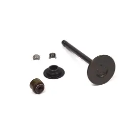 844787 Briggs & Stratton 024847965209 And Exhaust Valve