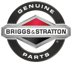 Briggs & Stratton 810003909909 Vehicle Cleaner Press. Washer Concentrate Spot Free Rinse Pump Saver O-ring Kit