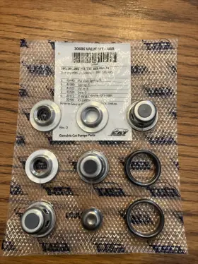 30686 Cat Pumps Valve Kit-nbr Fits 280 290 333 430 Oem. New