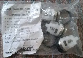 30821 Cat Pumps - Valve Kit Pump Oem Parts 310 340 350 Models Made In Italy