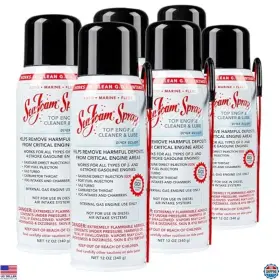 B0dg9x3t2g Visit The Sea Foam Store Engine Intake Valve Cleaner Spray 14 Oz Pack Of 6 Removes Carbon Build-up