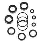 76975 Rubber Seal Kit For Cat Pumps 4DNX25GSI 4DNX27GSI (12PCS). Fixed Price $44.50.