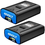 Pack For Kobalt 40V Max 6.0AH Lithium-ion Battery KB540C-06 KB245-06 KB240-06. Fixed Price $132.99.