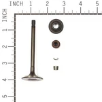 Briggs & Stratton 844787 Exhaust Valve. Fixed Price $60.95.