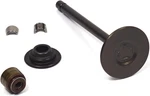 Briggs & Stratton Oem Exhaust Valve 844787. Fixed Price $31.00.