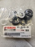 Yamaha Oem 7CT-R4100-00, 7CTR410000 Pump Seal Kit PW4040. Fixed Price $134.99.