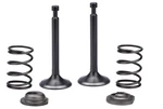 Intake Exhaust Valve Spring For Generac 3000PSI Onewash Pressure Washer G0066021. Fixed Price $24.99.