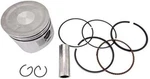 Rings Piston Kit For Echo Bear Cat PW3100B Pressure Washer. Fixed Price $31.95.