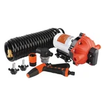 Seaflo 55-SERIES Washdown Pump Kit 12V Dc, 5.5 Gpm, 70 Psi, Self-priming, C.... Fixed Price $193.78.