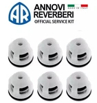 AR2186 Check Valve Set For Annovi Reverberi Italy. Fixed Price $33.99.