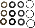 Cleaning 7105742 Replacement Low And High Pressure Seal For Washer Pump. Fixed Price $108.97.