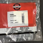 Briggs & Stratton 705001 O-ring. Fixed Price $18.00.