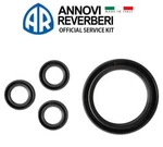 Annovi Reverberi Oil Repair Kit Seals Rr, Rra, Rrv Pumps. Fixed Price $20.49.