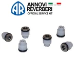 Annovi Reverberi AR42499 SRMW2.2G26 Check Valve Repair Kit. Fixed Price $23.09.