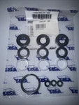 Cat 34262 Pump Seal Kit. Fixed Price $66.00.